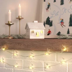 20ct LED Battery Operated Deer Christmas Novelty String Lights Warm White Clear Wire - Wondershopâ˘